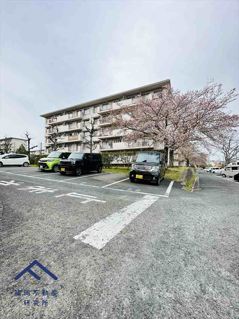 油山団地13棟の駐車場