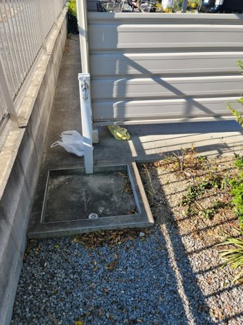 【その他共用部分】 | ペットの足を洗えますよ