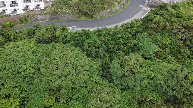 本部町山里【リゾート向き元ホテル用地 1435坪】の外観|※2022年12月撮影