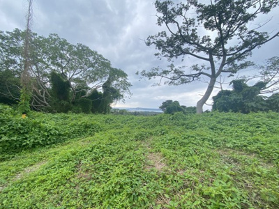 【外観】 | 本部町山里【リゾート向き元ホテル用地 1435坪】 | ※2022年12月撮影