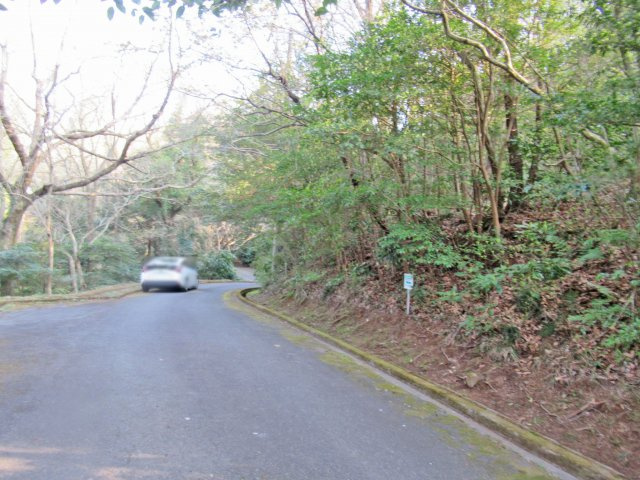 伊豆エメラルドタウン⑨の前面道路含む現地写真