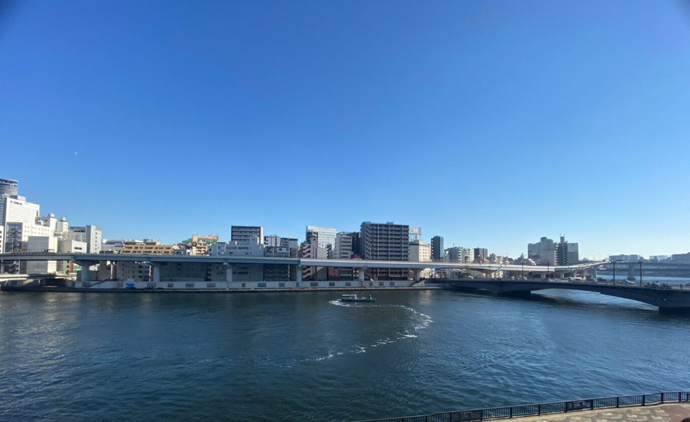 マンションヴィップ柳橋の展望