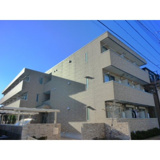ＣＯＲＡＬ ＭＩＺＵＥの画像