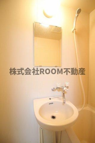 セイシェルハイムⅡの洗面所