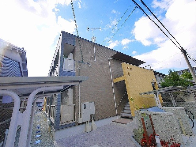 フェンネルの外観|きれいな外観です