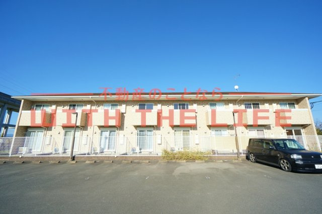 フローラ【キャッシュバック対象】