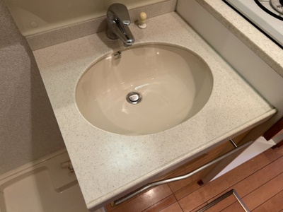 【独立洗面台】 | エステムコート梅田茶屋町デュアルスペース