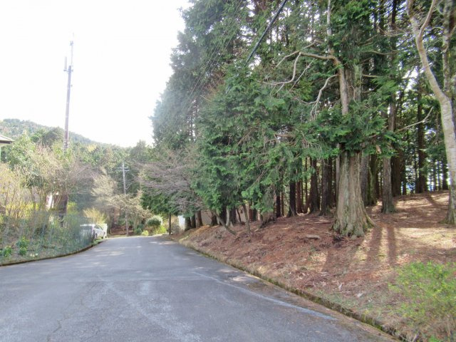 伊豆天城リゾート②の前面道路含む現地写真