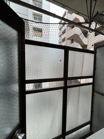 サイストン旭の展望