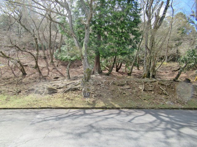 天城東急リゾート③