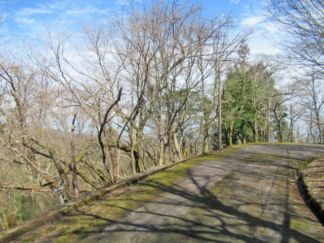 伊豆天城リゾート④の前面道路含む現地写真