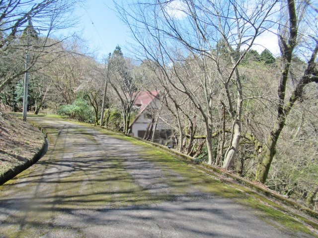 伊豆天城リゾート④の前面道路含む現地写真