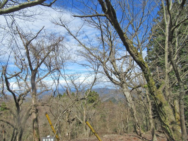 天城東急リゾート④のその他