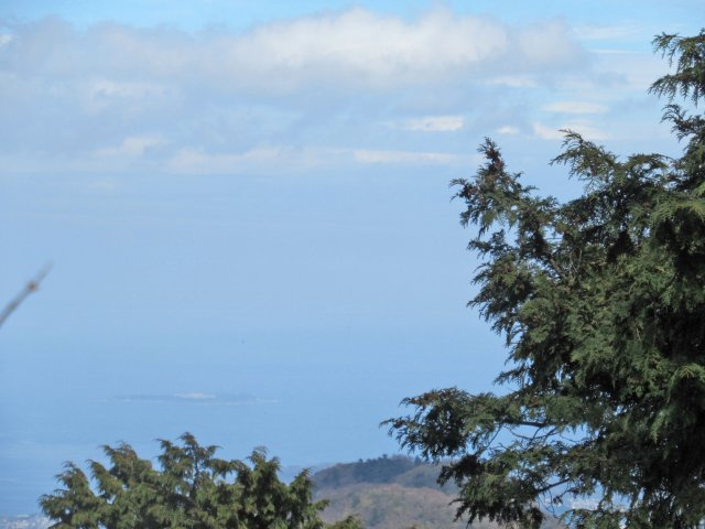 天城東急リゾート⑤のその他