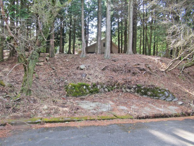 天城東急リゾート⑥