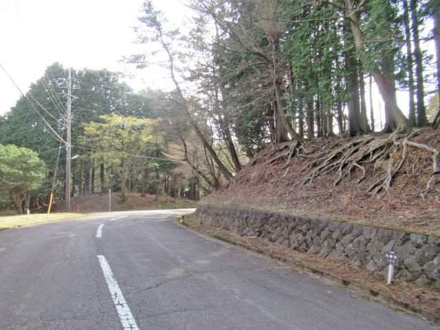 伊豆天城リゾート⑦の前面道路含む現地写真