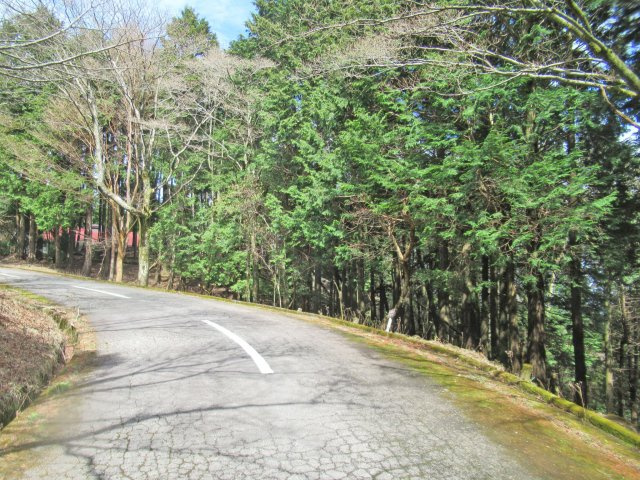 伊豆天城リゾート⑧の前面道路含む現地写真