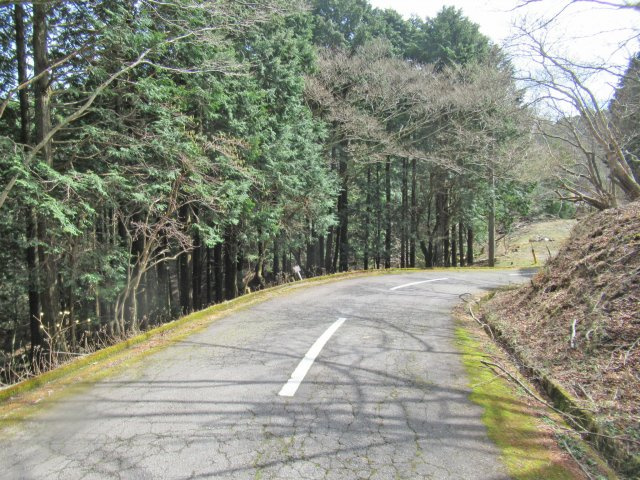 伊豆天城リゾート⑧の前面道路含む現地写真