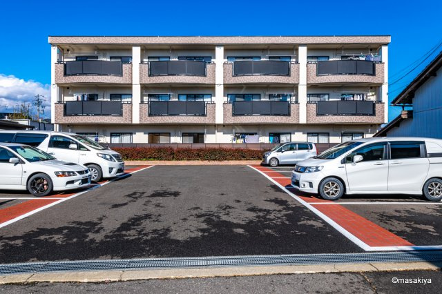 エヴァーグリーン2000