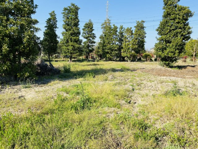 春日部市銚子口　売地の外観|資材置場・駐車場用地として