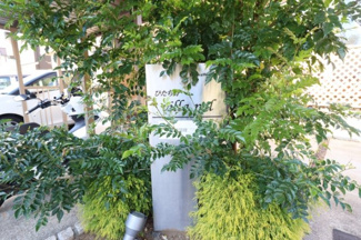 【庭】 | ひたち野　Villa.Pal