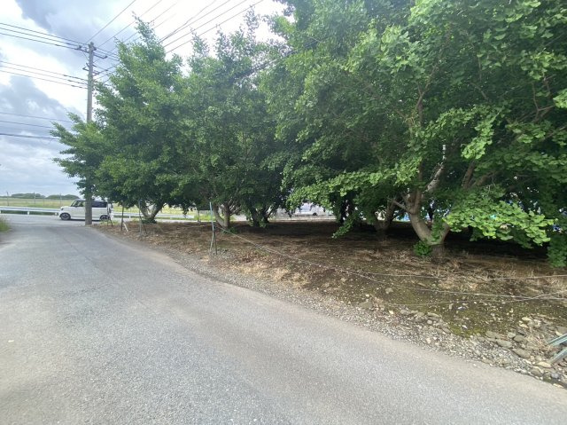 狭山市北入曽　建築条件なし売地　「武蔵藤沢駅」徒歩17分　敷地115坪の外観
