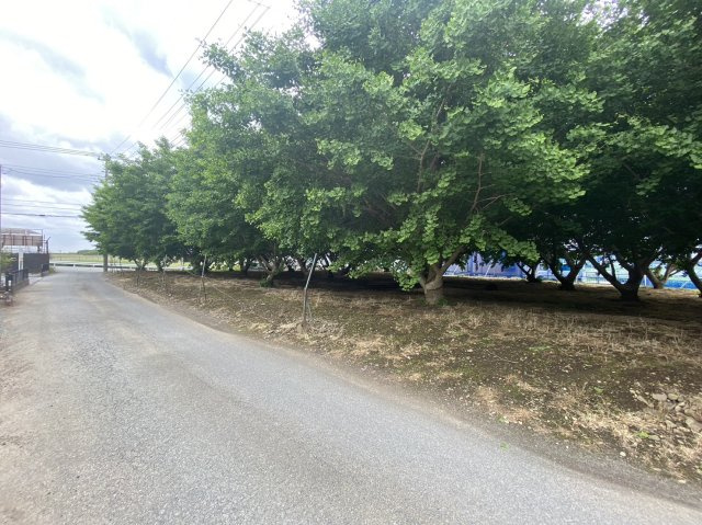 狭山市北入曽　建築条件なし売地　「武蔵藤沢駅」徒歩17分　敷地115坪