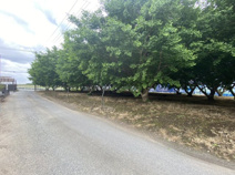 狭山市北入曽　建築条件なし売地　「武蔵藤沢駅」徒歩17分　敷地115坪の画像