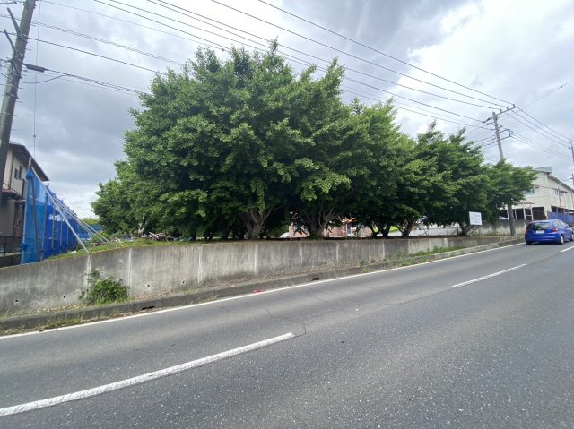 狭山市北入曽　建築条件なし売地　「武蔵藤沢駅」徒歩17分　敷地115坪の前面道路含む現地写真