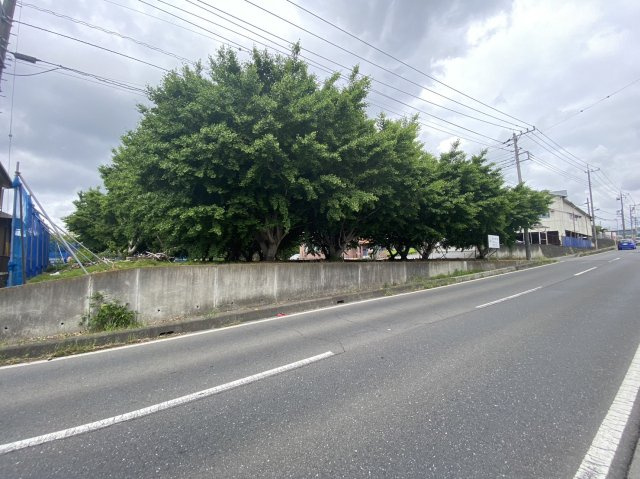 狭山市北入曽　建築条件なし売地　「武蔵藤沢駅」徒歩17分　敷地115坪の前面道路含む現地写真