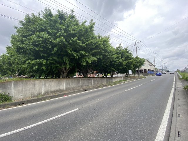 狭山市北入曽　建築条件なし売地　「武蔵藤沢駅」徒歩17分　敷地115坪の前面道路含む現地写真