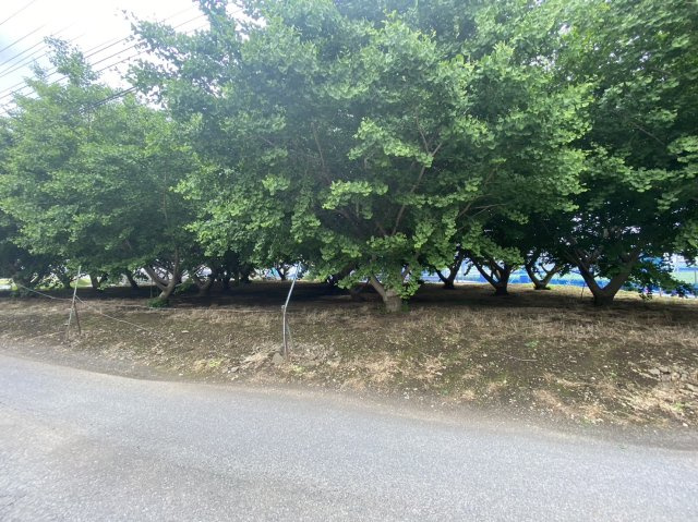狭山市北入曽　建築条件なし売地　「武蔵藤沢駅」徒歩17分　敷地115坪の外観