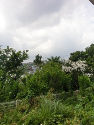 【展望】 | サザンパレス | サザンパレス　眺望