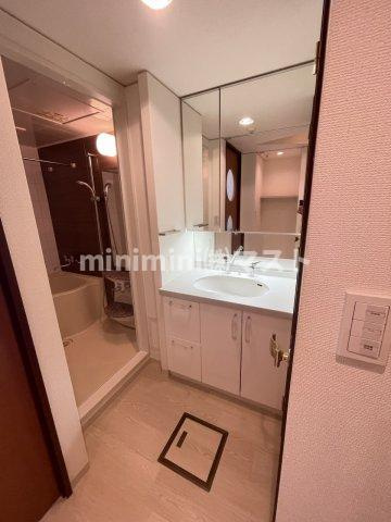 SITY SPIRE上町台の洗面所