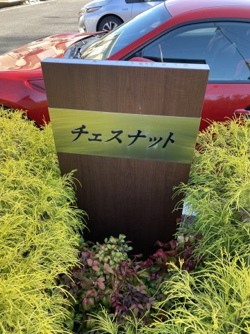 チェスナットのその他