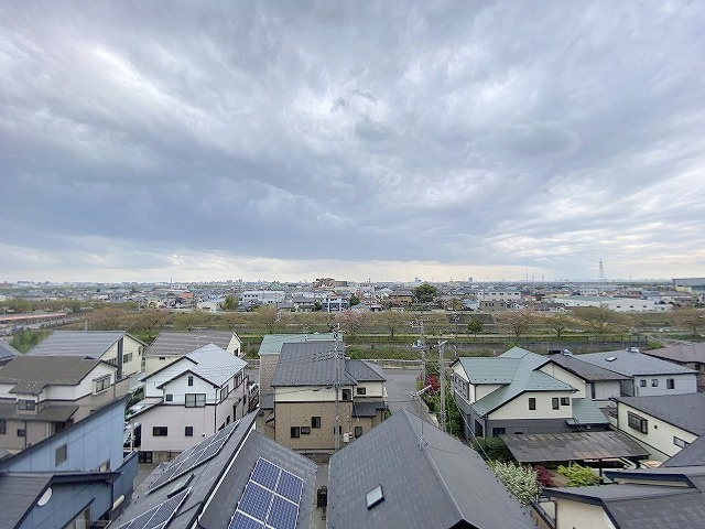 ファインプラス三郷中央　の周辺|目の前に桜並木が見え、スカイツリーも見渡せる眺望です。