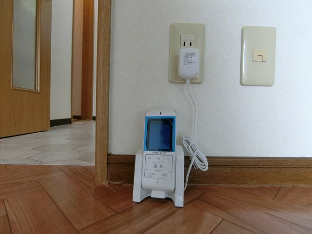 カピリナのセキュリティ