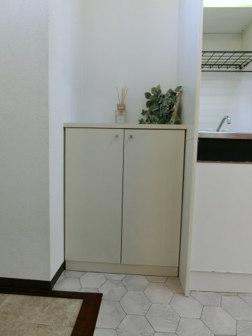カピリナのその他