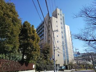 大学