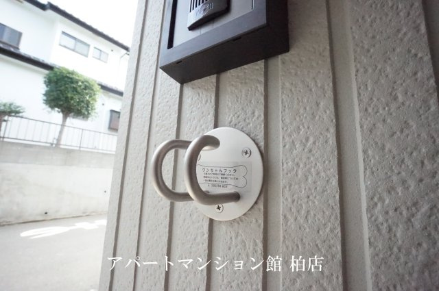 レーニアⅡのその他