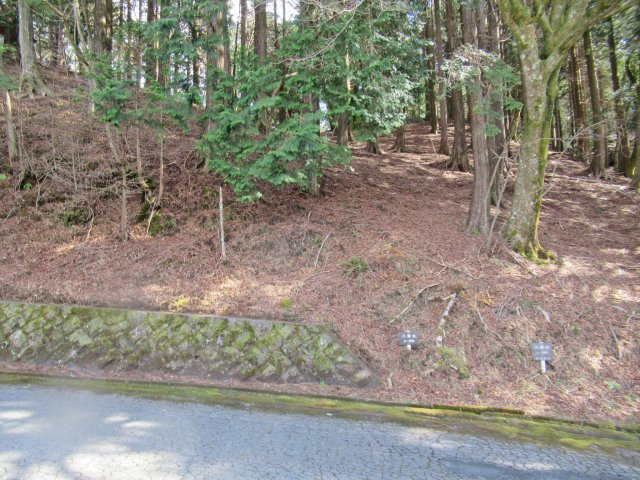 天城東急リゾート⑨の外観