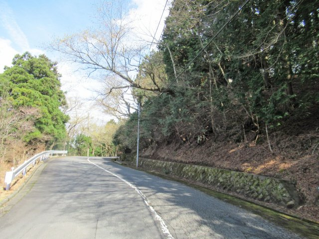 伊豆天城リゾート⑨の前面道路含む現地写真