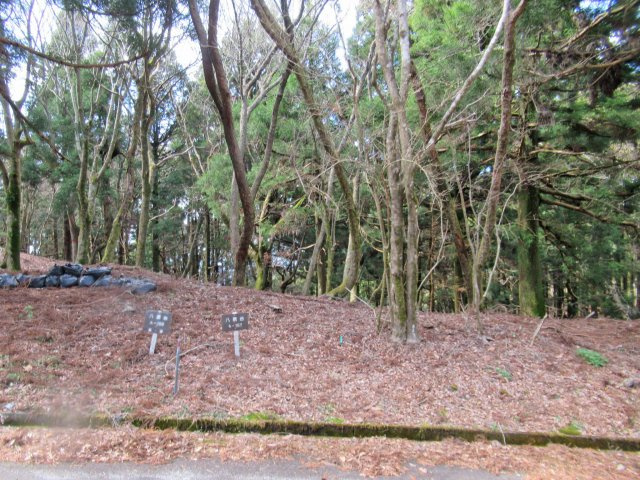 天城東急リゾート⑩