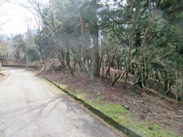 伊豆天城リゾート⑩の前面道路含む現地写真