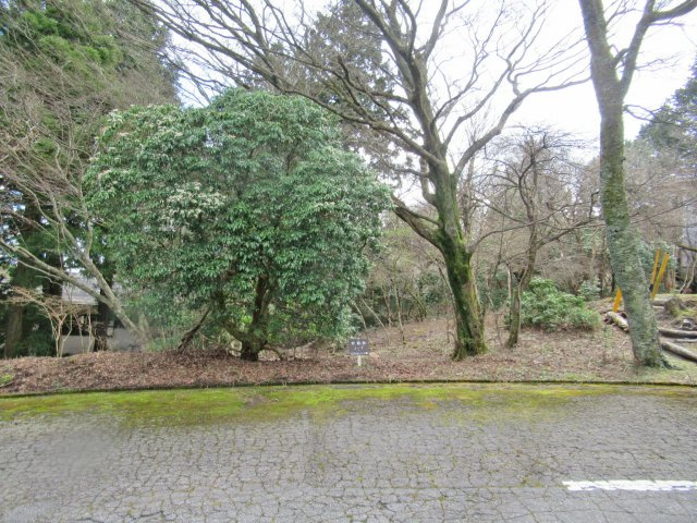 天城東急リゾート⑪の外観