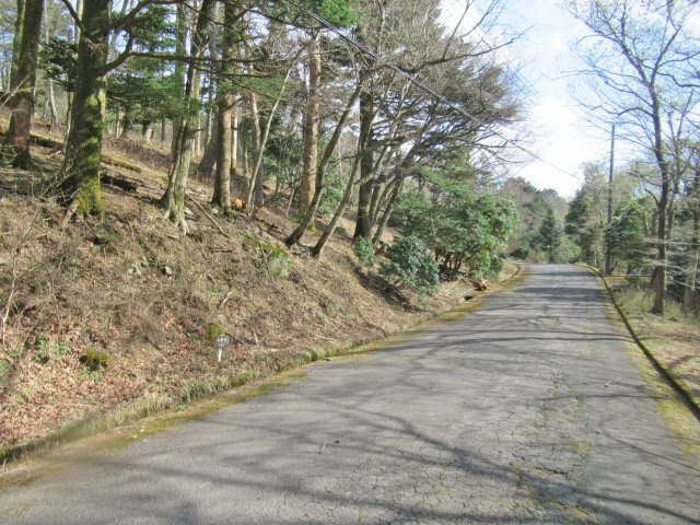 伊豆天城リゾート⑫の前面道路含む現地写真