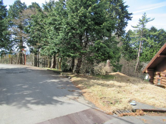 天城東急リゾート⑬