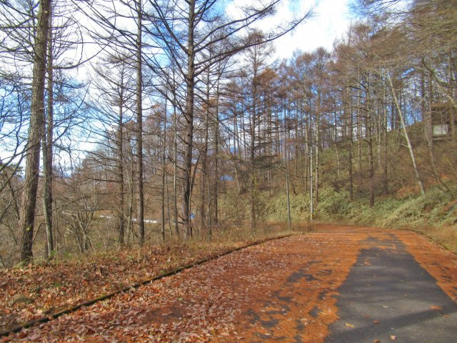 森泉郷別荘地①