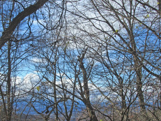 森泉郷別荘地①のその他|眺望良好です