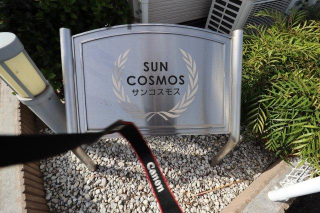 サンコスモスのその他